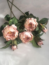 English Rose Stem 64cmH